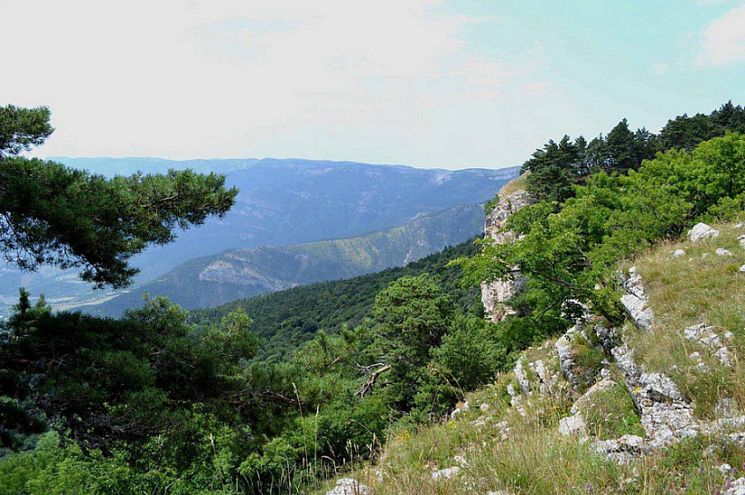 Три особо охраняемых природных территории создадут в Краснодарском крае в 2022 году 