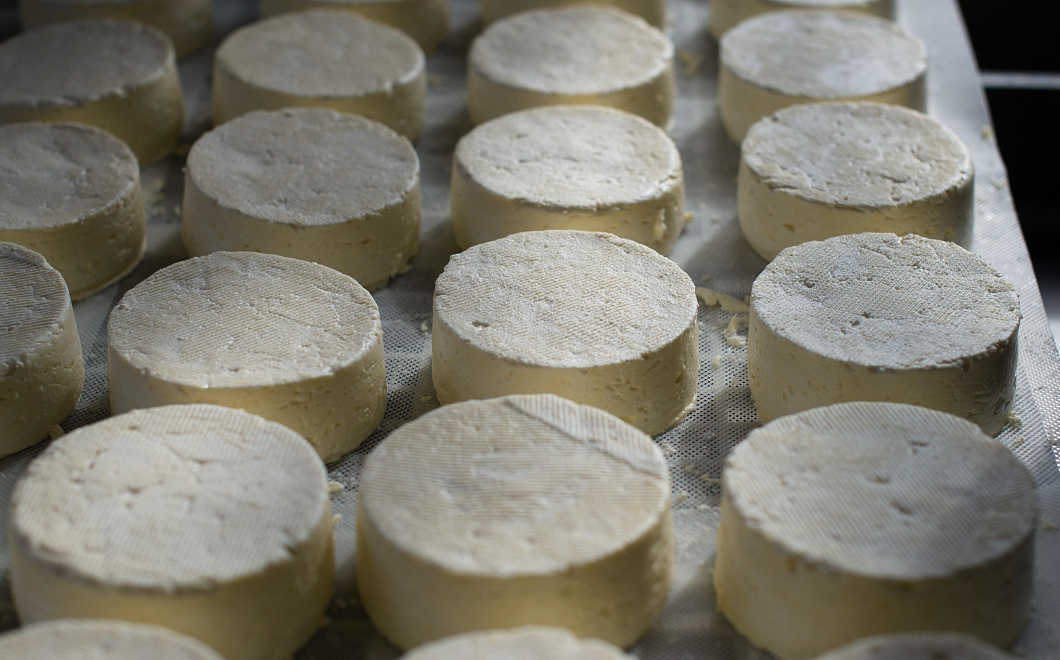 В сыре белорусских поставщиков нашли говяжий жир