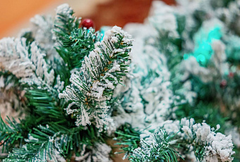 Самые дорогие новогодние туры по России забронированы в Сочи