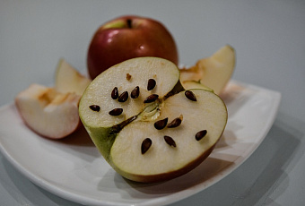 Помощь пришла откуда не ждали: кому полезны яблочные семечки
