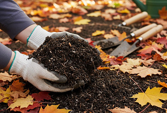 Как превратить опавшие листья в полезное удобрение, всё о листовой земле