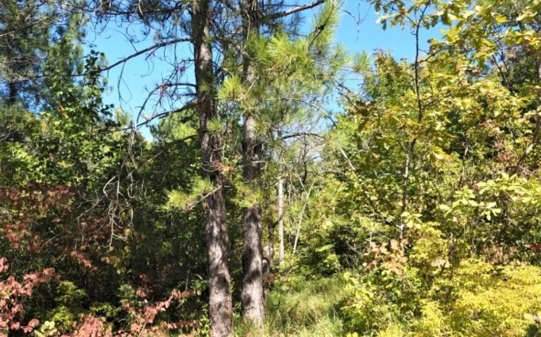 В Краснодарском крае создали девять новых охраняемых природных территорий