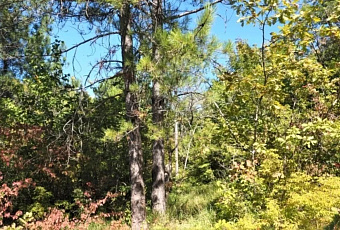 В Краснодарском крае создали девять новых охраняемых природных территорий