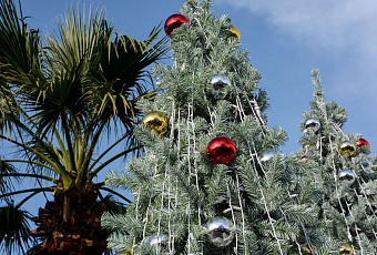 Новогодний отдых в Адлере обойдётся вдвое дешевле, чем в Калининграде