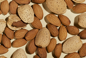 Этот орех способен защитить организм от повреждений свободными радикалами 