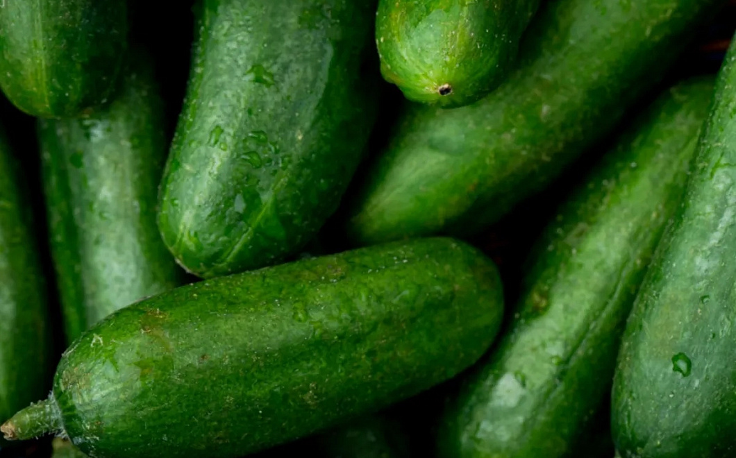 Минсельхоз: огурцы в России подешевели почти на 25% за месяц благодаря росту тепличного производства