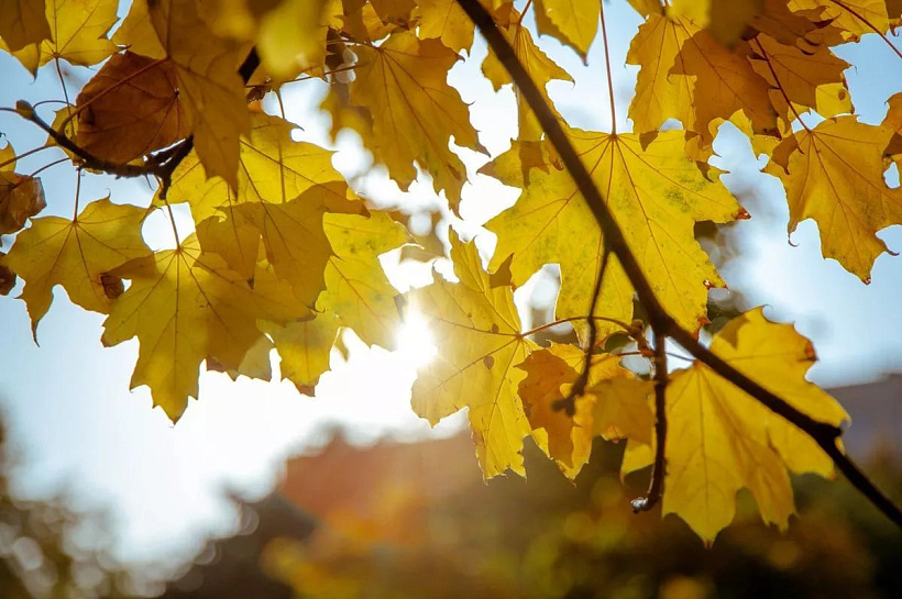 Три города Кубани вошли в десятку самых жарких в России