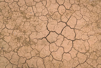 Минсельхоз призвал ускорить внедрение технологий из-за засухи