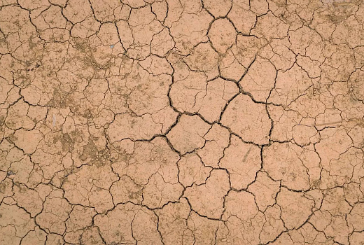 Восстановление почвы после засухи на Кубани займет несколько лет