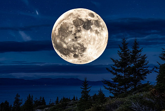  Роскосмос назвал дату пика метеоров Персеиды и парада планет в 2026 году