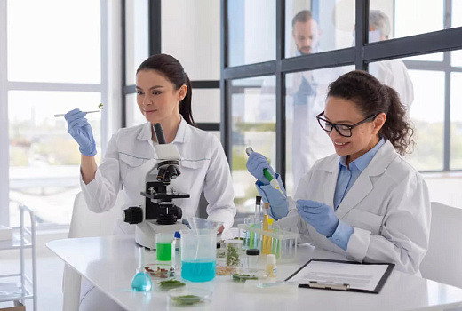 Ученые МФТИ нашли способ быстрого подбора катализаторов и сенсоров из двумерного материала