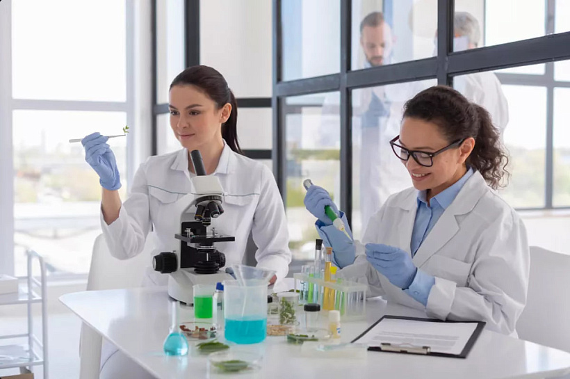 Ученые МФТИ нашли способ быстрого подбора катализаторов и сенсоров из двумерного материала