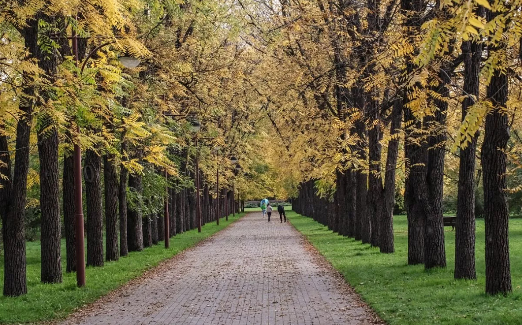 Антициклон принесет в Краснодарский край похолодание до +9°C