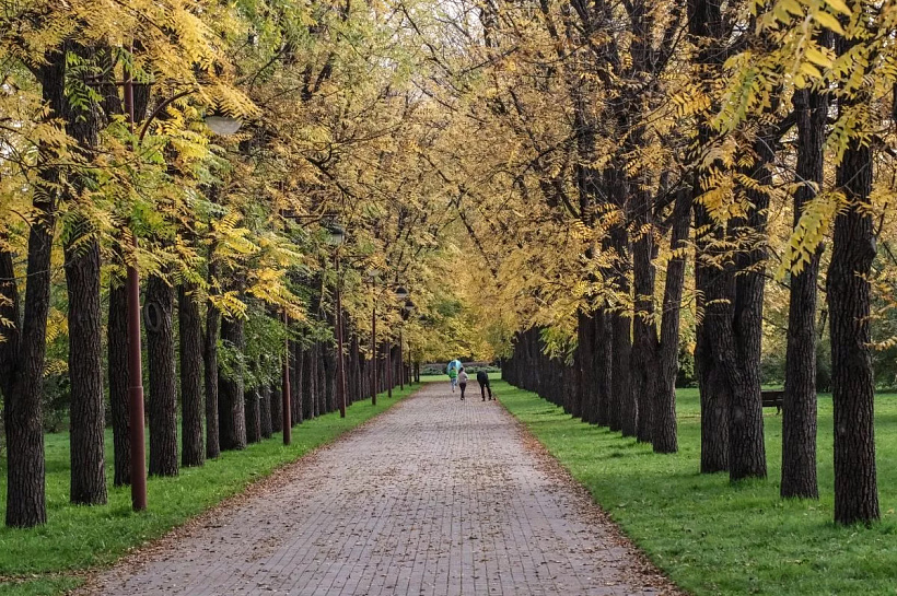 Антициклон принесет в Краснодарский край похолодание до +9°C