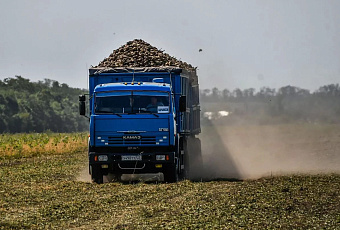 Краснодарский край вошел в топ-5 регионов по спросу на водителей