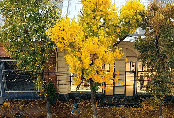 Краснодар вошел в топ-5 самых популярных для осеннего отдыха городов-миллионников