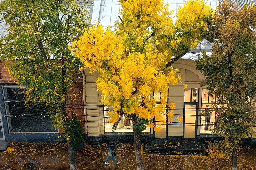 Краснодар вошел в топ-5 самых популярных для осеннего отдыха городов-миллионников