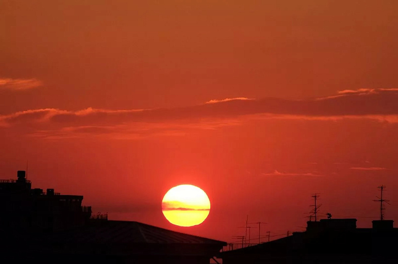 На Кубани установилась аномально теплая погода для ноября