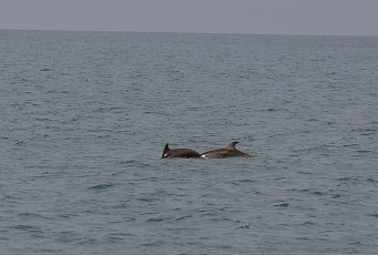 На курортах Краснодарского края сохраняется теплая вода для купания