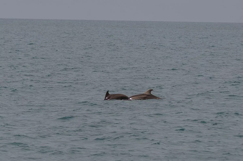 На курортах Краснодарского края сохраняется теплая вода для купания
