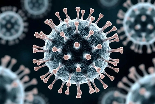 Эксперт РУДН Кирилл Маслиев развеял мифы об оспе обезьян в Подмосковье