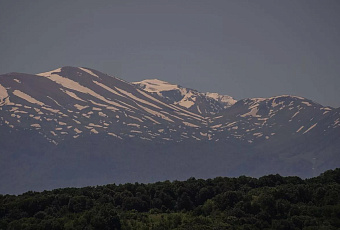 Ученые: на Кавказе обитали гиены-гиганты весом до 400 килограммов