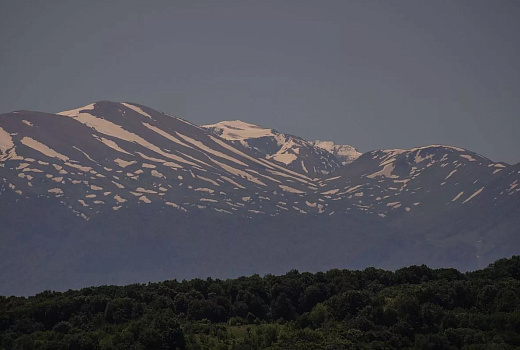 Ученые: на Кавказе обитали гиены-гиганты весом до 400 килограммов