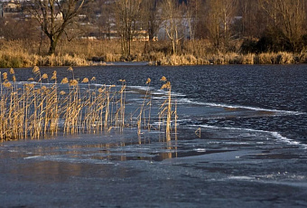 Ученые СПбГУ создали программу OutburstFloodFormation для расчёта прорывных паводков и снижения ущерба