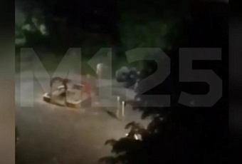 Голый мужчина прогулялся по детской площадке и попал на видео