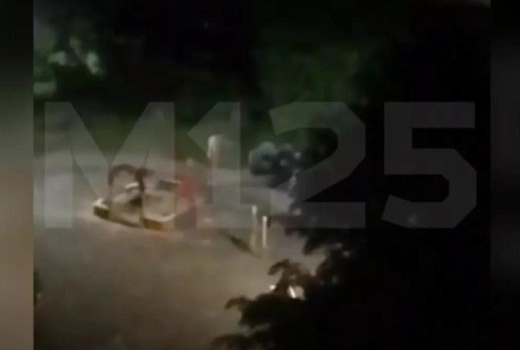 Голый мужчина прогулялся по детской площадке и попал на видео