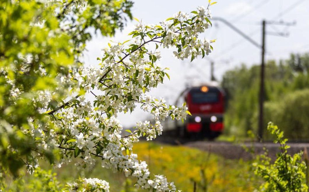 Москвичи массово скупают билеты на поезда в Новороссийск
