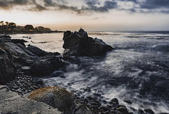 Учёные России создали индикатор мазутного загрязнения Чёрного моря на основе водорослей