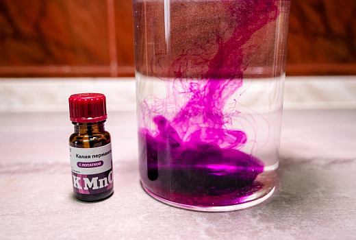 Мучнистая роса: как победить главного врага всех растений