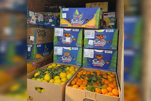 Россельхознадзор забраковал 12,5 тонн мандаринов с мраморным клопом