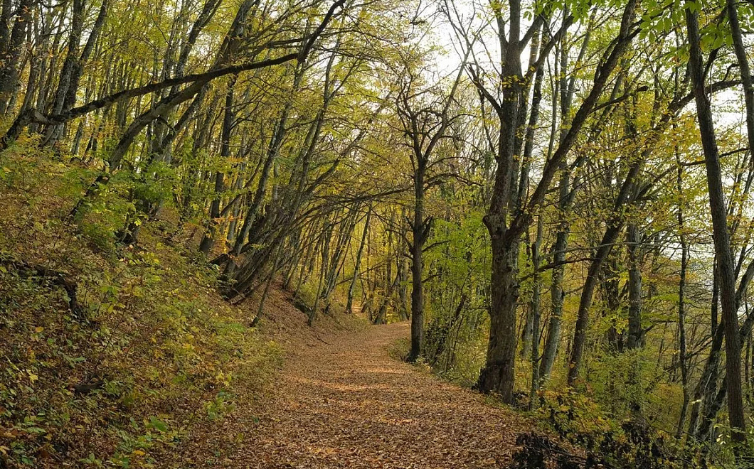 Большая кубанская тропа протяженностью 850 км соединила Тамань и Сочи