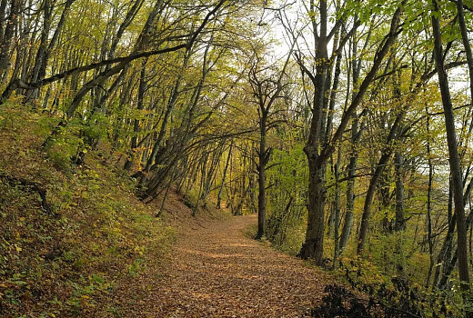 Большая кубанская тропа протяженностью 850 км соединила Тамань и Сочи