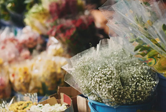 Розы, хризантемы и зелень: цветочный рынок юга России вырос на 8% в преддверии 8 Марта