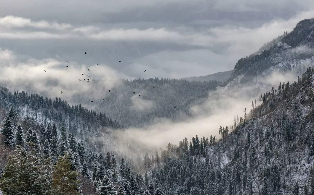 Два высокогорных маршрута закрыли досрочно в Кавказском заповеднике
