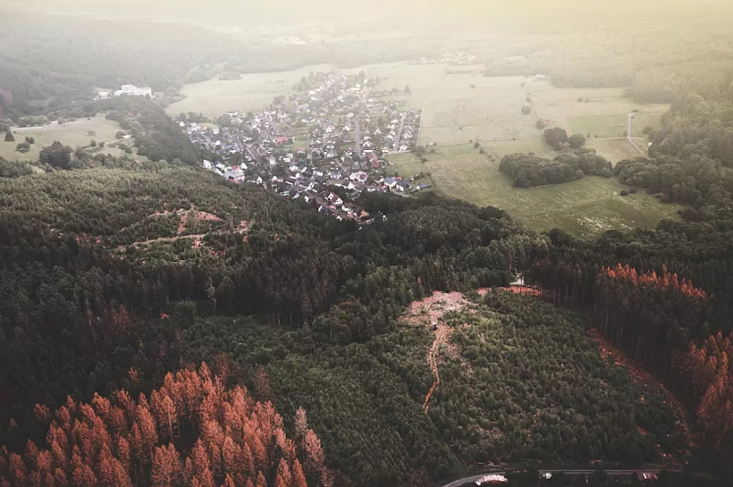 В России создан консорциум для космического мониторинга агроэкологии и лесных ресурсов с использованием спутников