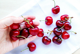 Врач рассказала, сколько черешни в день можно есть без вреда для здоровья