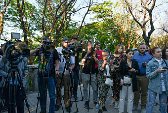 Теле- и радио-сюжеты смогут участвовать в конкурсе журналистских работ по теме Года экологии в Сочи