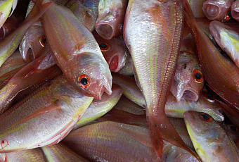 У диабетиков свои суперфуды: топ продуктов обязательных для диабетиков