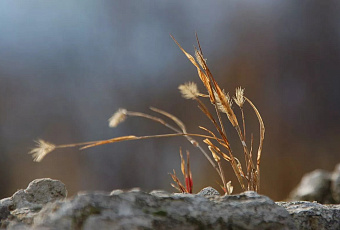 Холодный антициклон принесет на Кубань морозы и вернет климатическую норму
