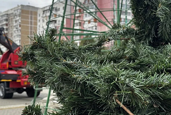 Первую пятнадцатиметровую новогоднюю елку установили в Краснодаре