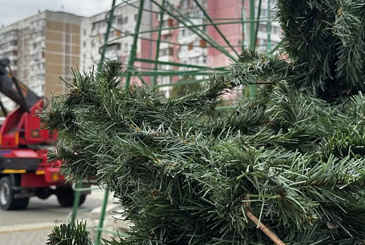 Первую пятнадцатиметровую новогоднюю елку установили в Краснодаре