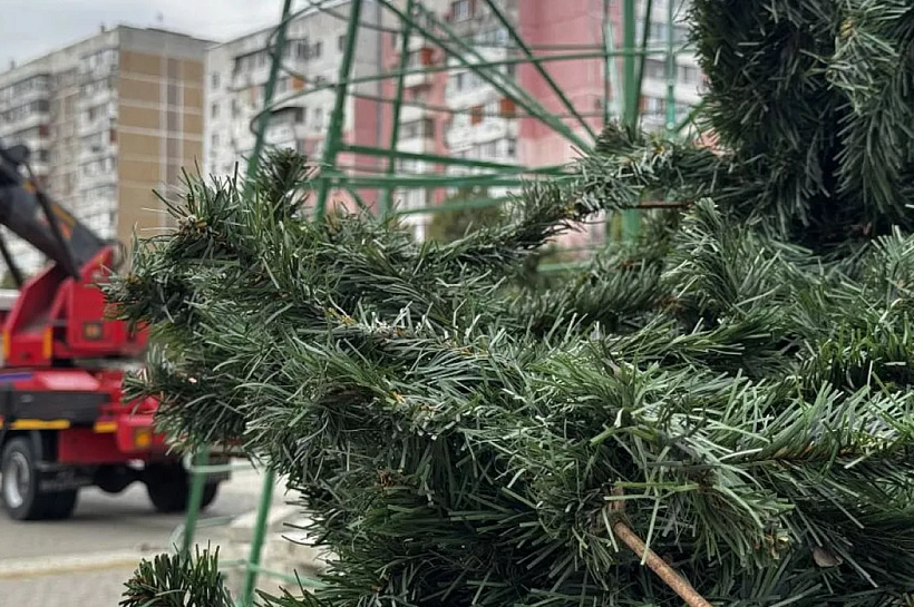 Первую пятнадцатиметровую новогоднюю елку установили в Краснодаре