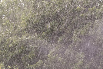 Балканский циклон «Барбара» обрушил на Сочи экстремальные ливни