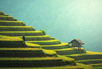 66% краснодарцев хотят посетить Китай после введения безвизового режима