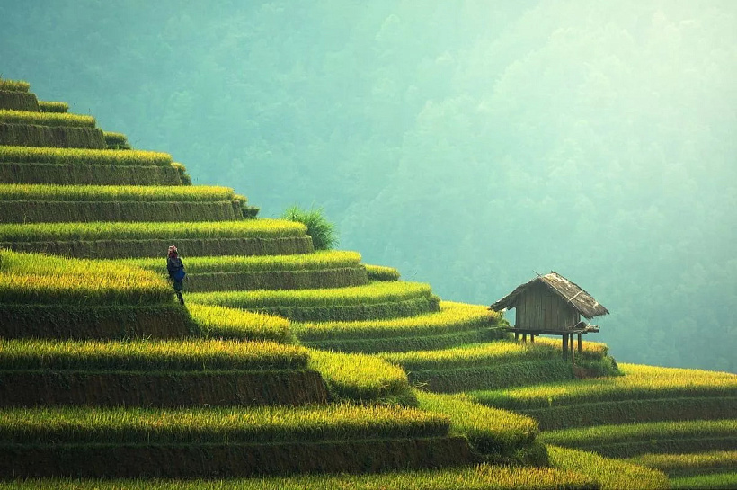 66% краснодарцев хотят посетить Китай после введения безвизового режима