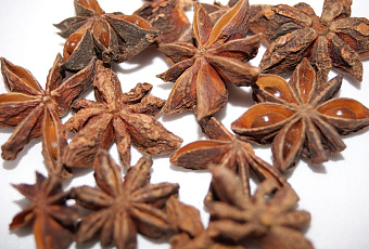 Экзот на огороде: как самому вырастить анис